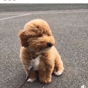 Meet your Posher, Catrice